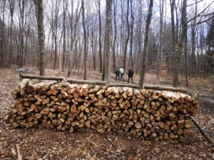 Affouage et commande de stères façonnées