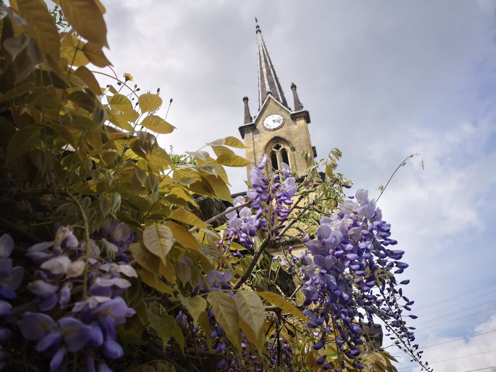 Un mercredi plein de fleurs