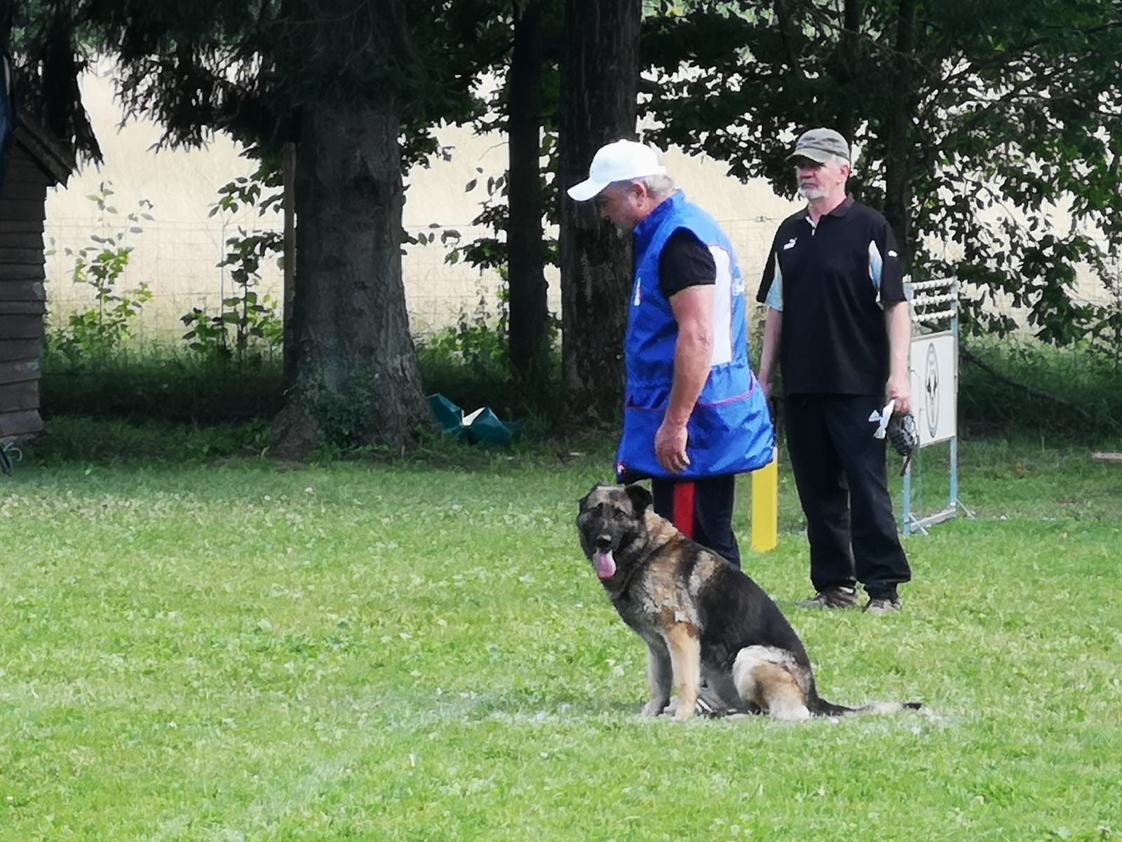 Le Club Canin d’Allenjoie « sur le RING » !