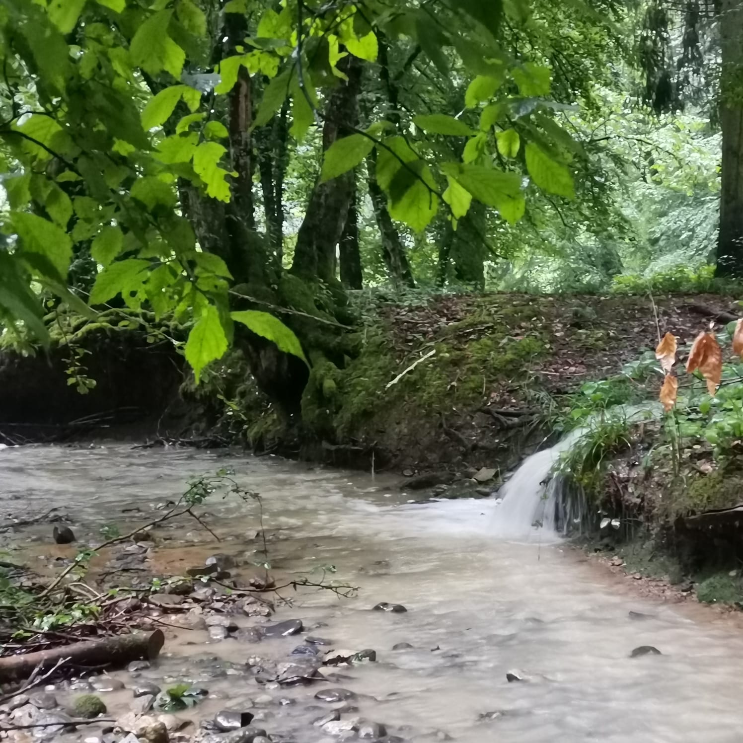 Après un weekend pluvieux…