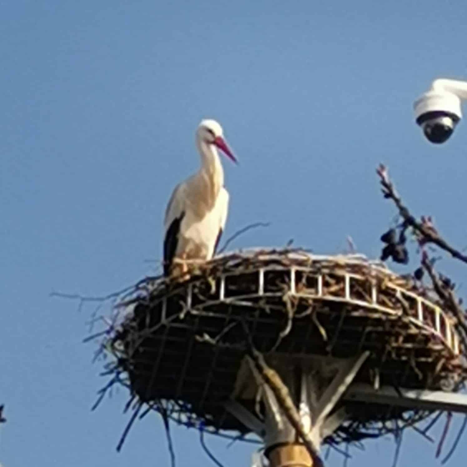 L’attente… puis le soulagement