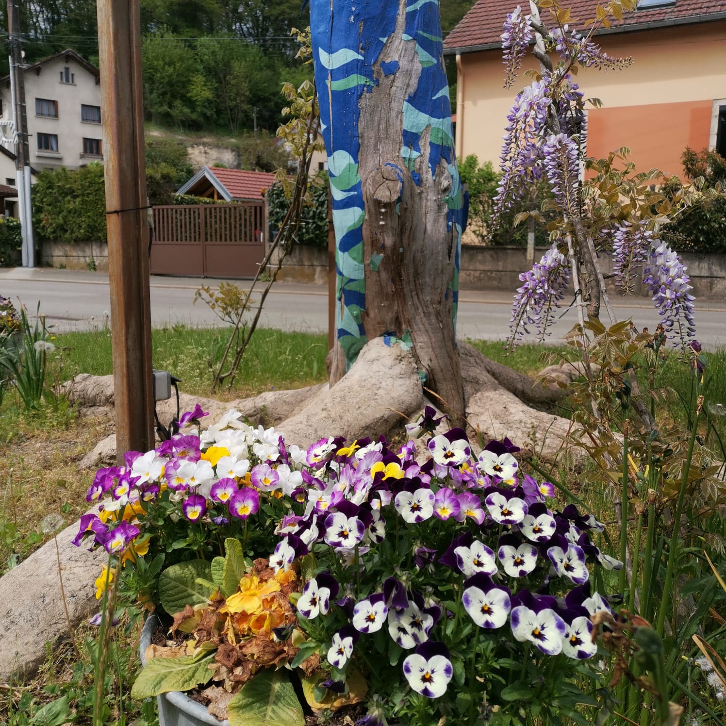 Un Arbre « un peu moins » Bleu…