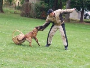 Des hommes, des femmes, des chiens et des juges.