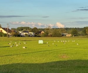Lire la suite à propos de l’article Escale sur la route du Sud