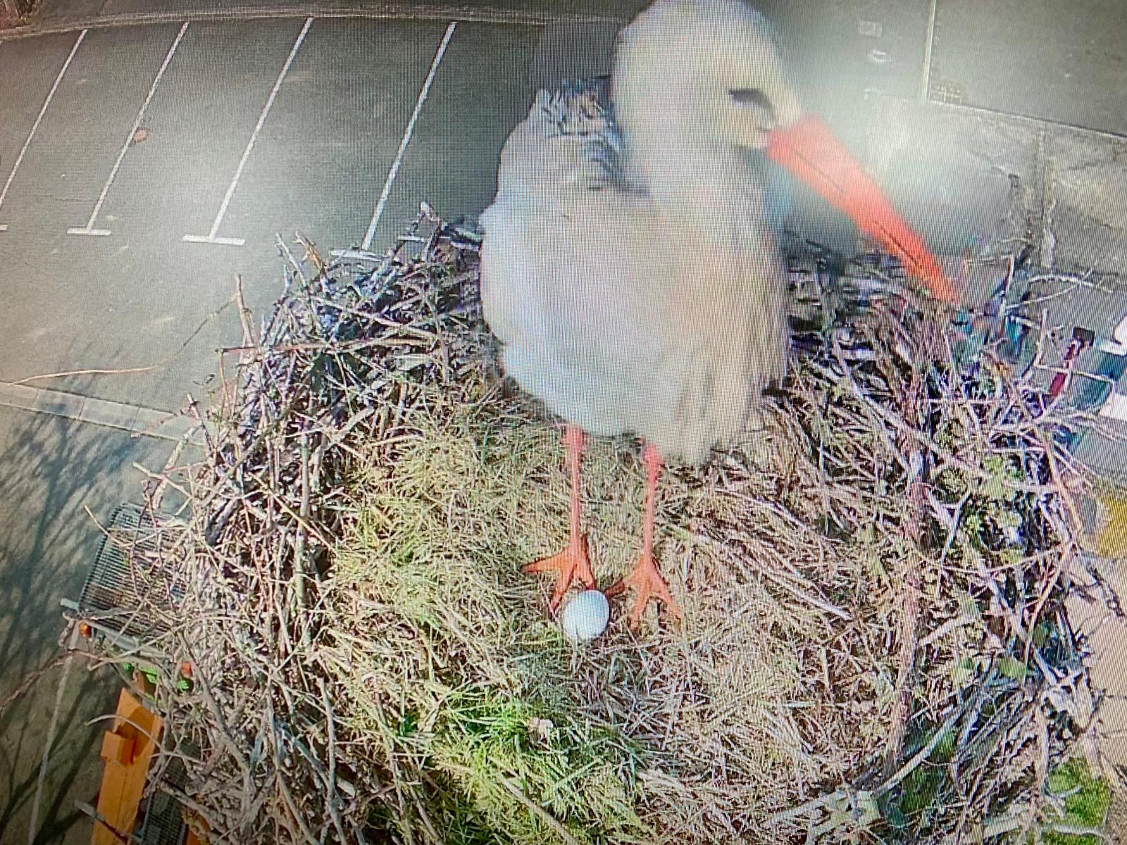 You are currently viewing Une aventure toujours émouvante