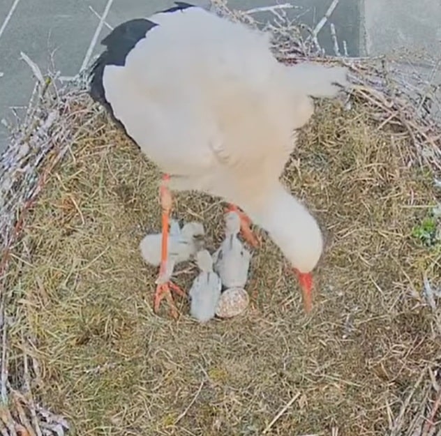 You are currently viewing Comment s’en lasser ?