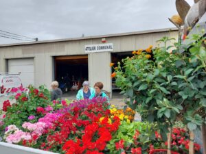 Lire la suite à propos de l’article La beauté à fleur de peau (de pot…)